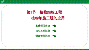 人教版高中生物选择性必修三课件-第2章-第-1-节-二-植物细胞工程的应用.ppt