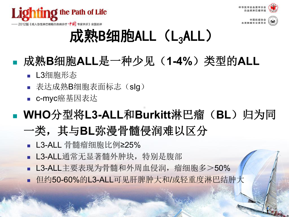 成熟B细胞ALL的诊断和治疗课件.ppt_第3页