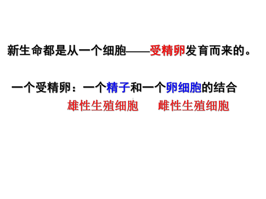 浙教版七年级下册科学11新生命的诞生课件.ppt_第2页