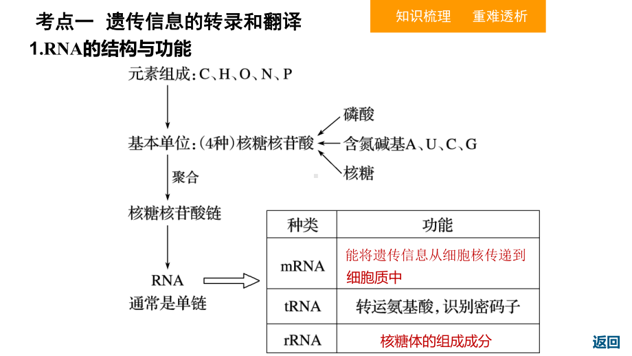 人教版高中生物必修二2基因的表达课件.ppt_第3页