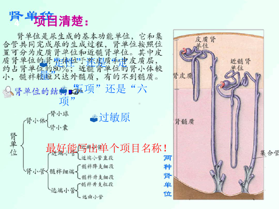 尿液微量蛋白检测临床意义课件.ppt_第3页