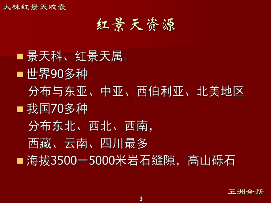 大株红景天胶囊五洲全新课件.ppt_第3页