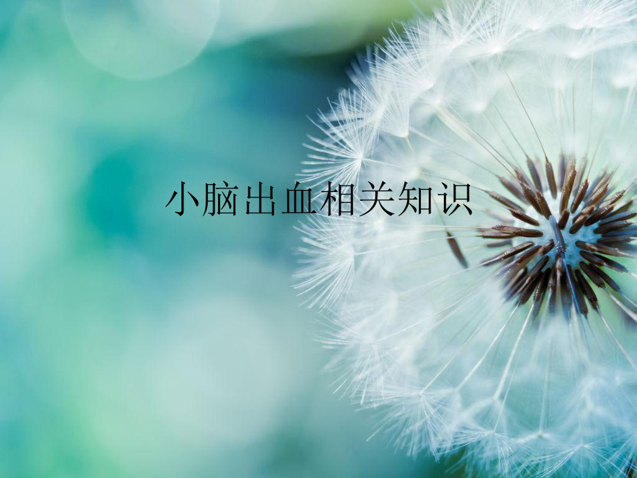 小脑出血课件.ppt_第1页