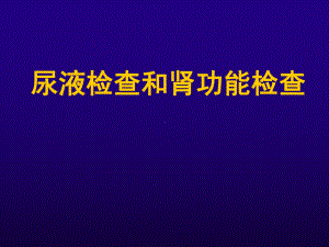 诊断学肾功能和尿液检查课件.ppt