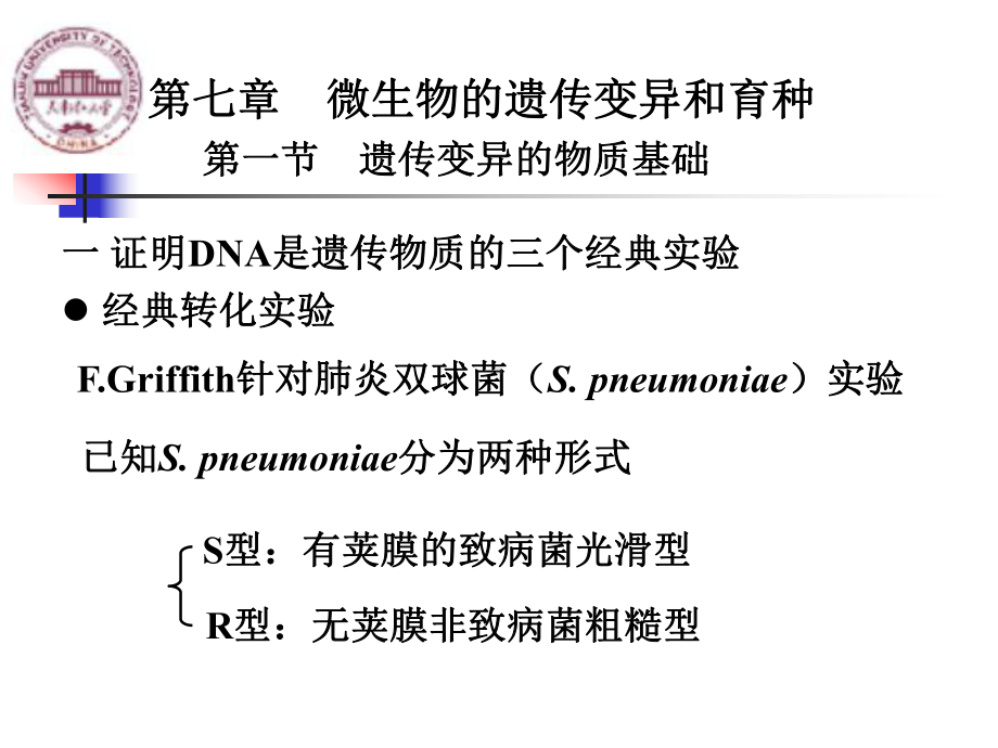 第7章微生物遗传变异与育种课件.ppt_第1页