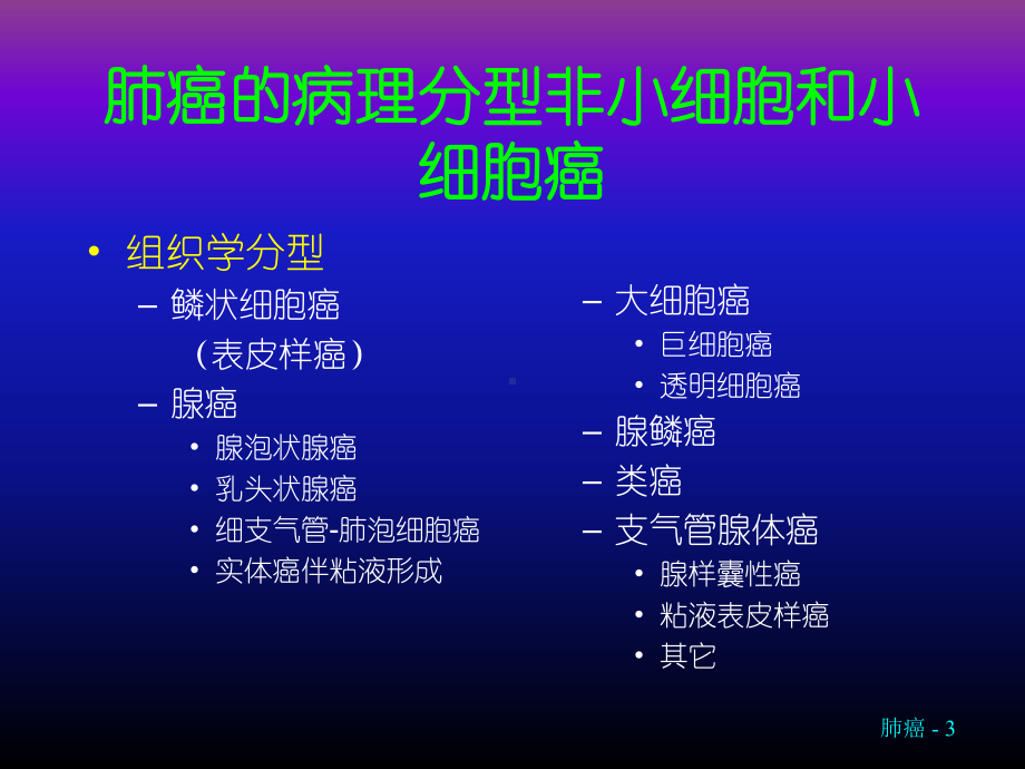 肺癌分类与治疗 课件.ppt_第3页