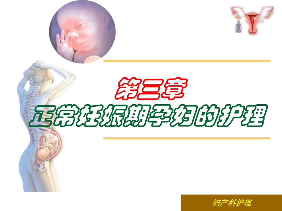 第三章正常妊娠期孕妇的护理3课件.ppt_第1页