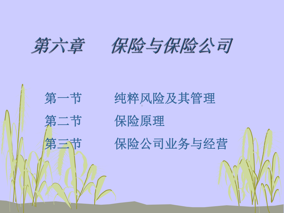 第六章保险与保险公司课件.ppt_第1页