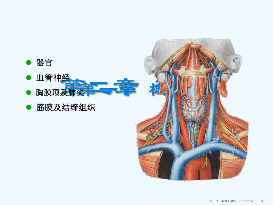 局解颈部解剖课件.ppt_第3页