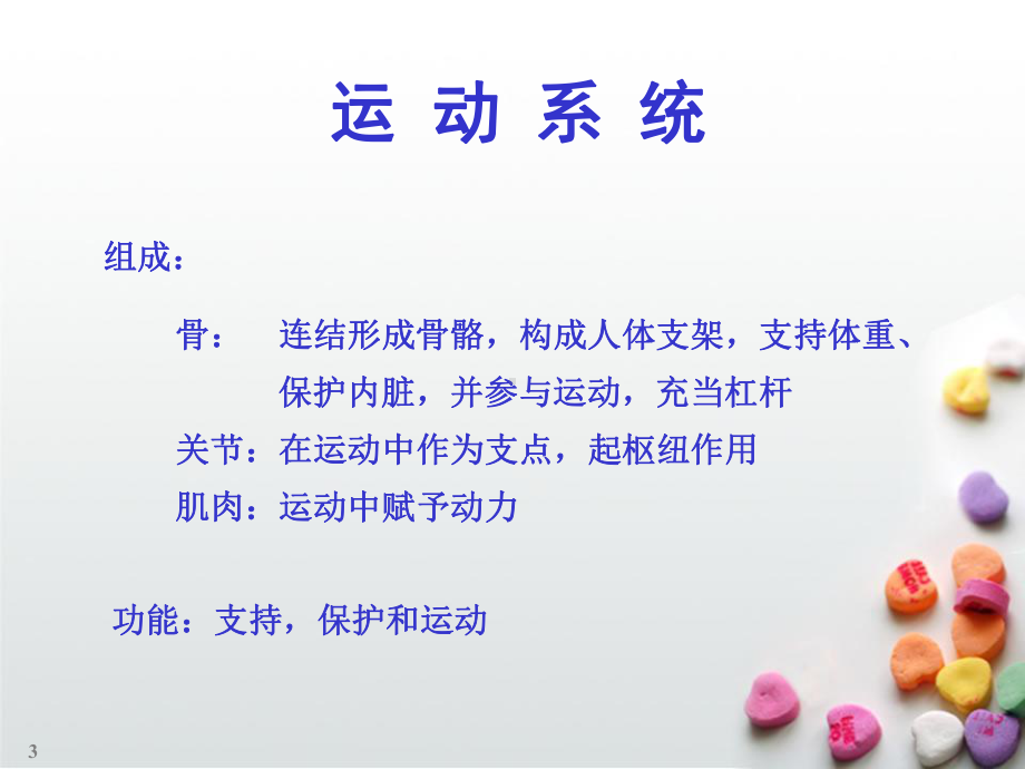 人体骨骼解剖学课件.ppt_第3页