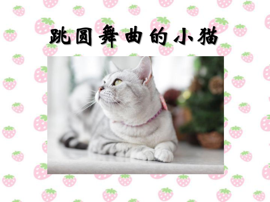 跳圆舞曲的小猫教学课件.ppt_第1页