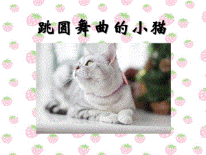 跳圆舞曲的小猫教学课件.ppt