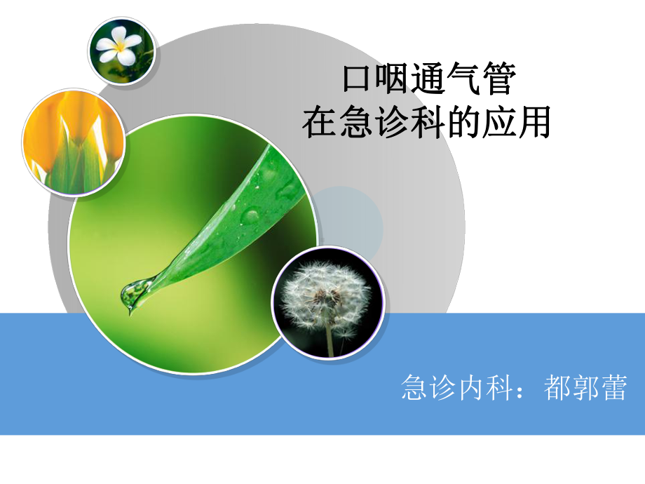 口咽通气管在急诊科的应用都郭蕾课件.ppt_第1页