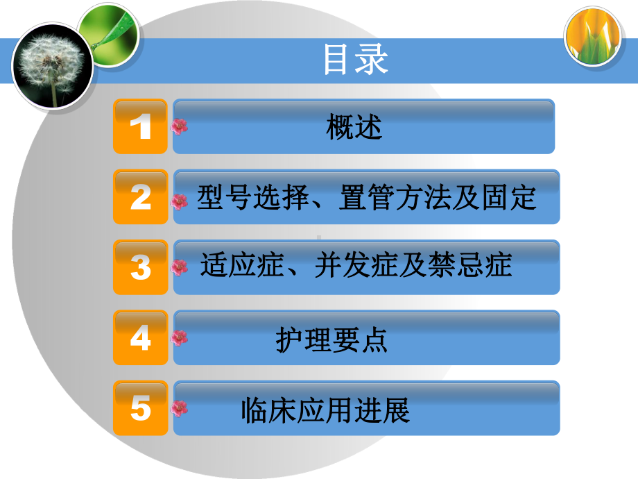 口咽通气管在急诊科的应用都郭蕾课件.ppt_第2页