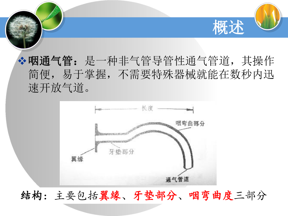 口咽通气管在急诊科的应用都郭蕾课件.ppt_第3页