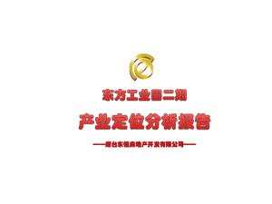 东方工业园二期产业定位分析报告课件.ppt