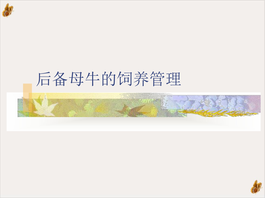 后备母牛的饲养管理教材课件.ppt_第1页