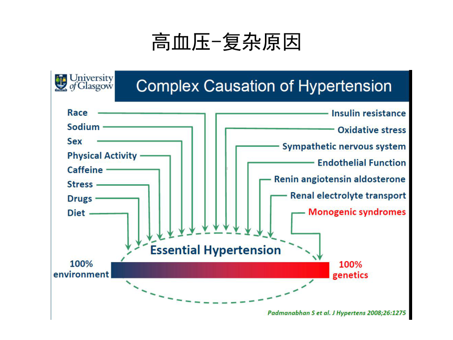 难治性高血压基因与遗传背景课件.ppt_第3页