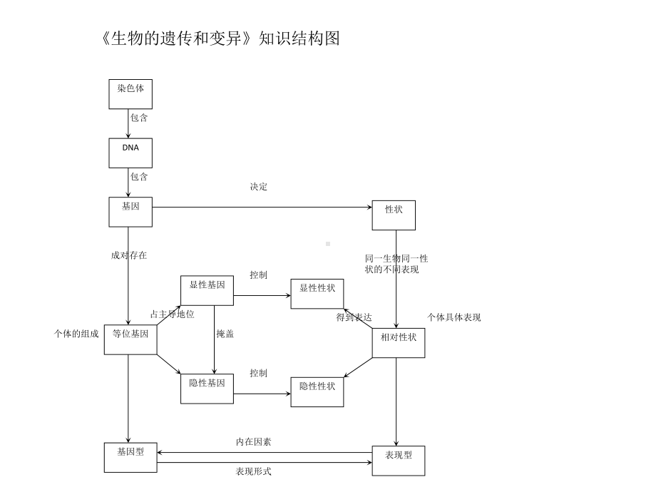 八年级生物复习-生物的-遗传和变异优秀课件.ppt_第2页