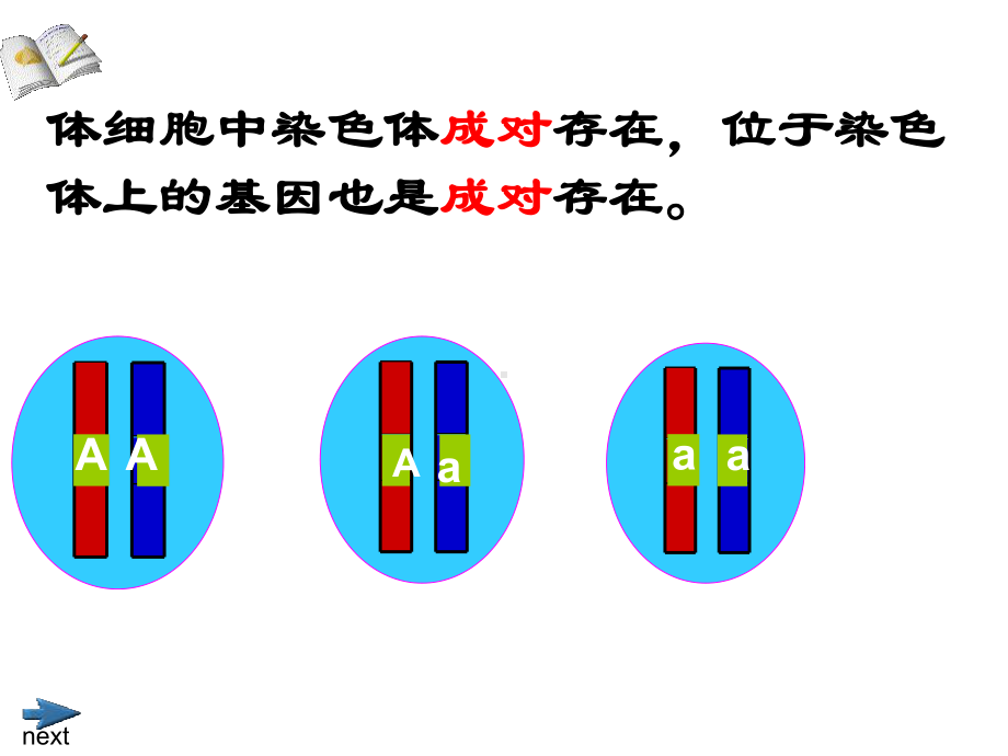 八年级生物复习-生物的-遗传和变异优秀课件.ppt_第3页