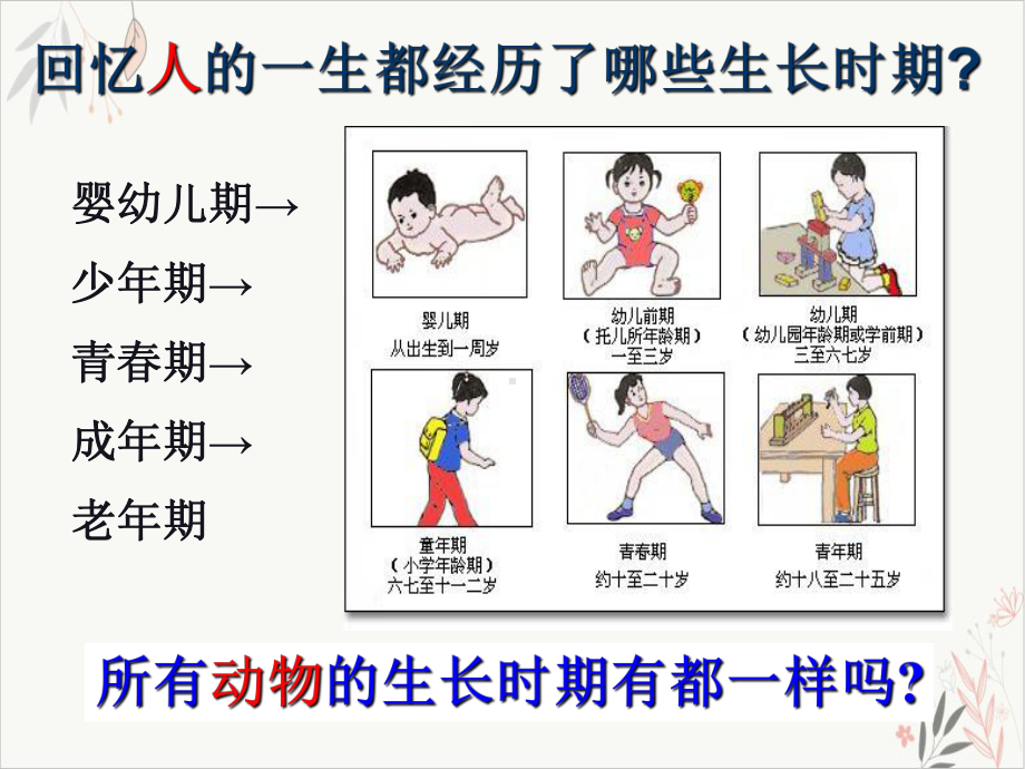 动物的生长期浙教版七级科学下册课件-讲义.ppt_第1页