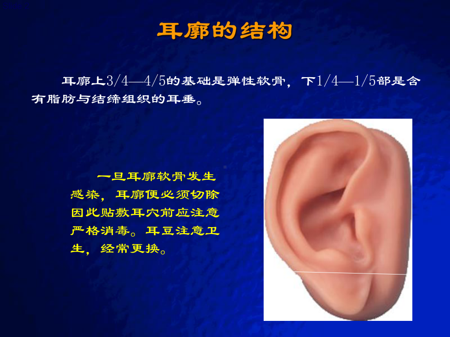 彩色耳穴实拍图耳穴快速记忆法、定位法及各种操作方法课件.ppt_第2页