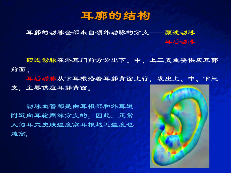 彩色耳穴实拍图耳穴快速记忆法、定位法及各种操作方法课件.ppt_第3页