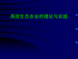 高效生态农业的理论与实践课件.pptx