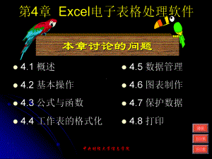 Excel电子表格处理软件课件.ppt