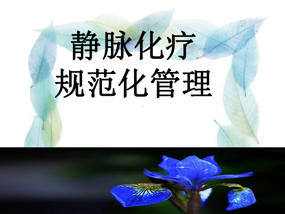 静脉化疗规范化管理课件.ppt_第1页