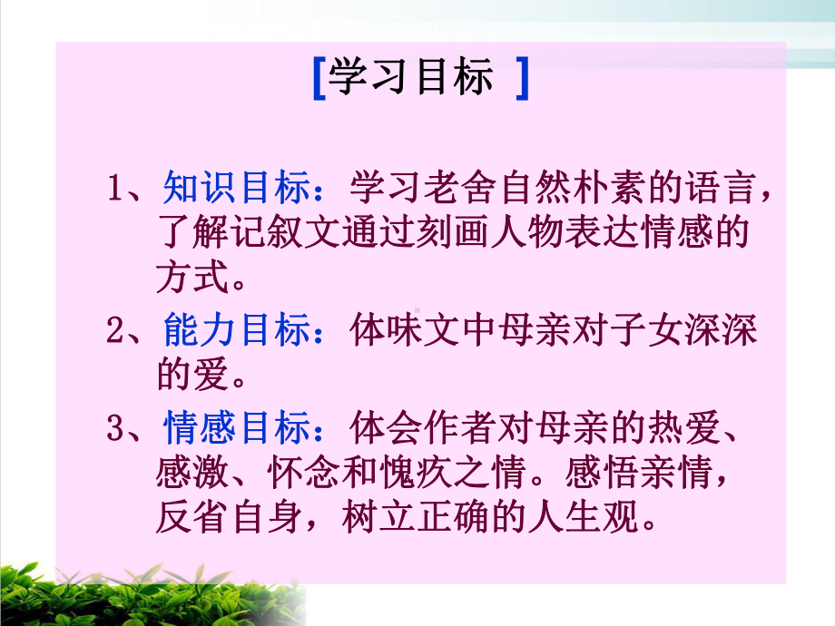 同题散文两篇课件我的母亲培训课件.ppt_第3页