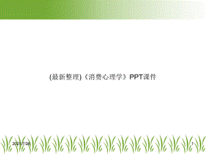 (最新整理)《消费心理学》课件.ppt