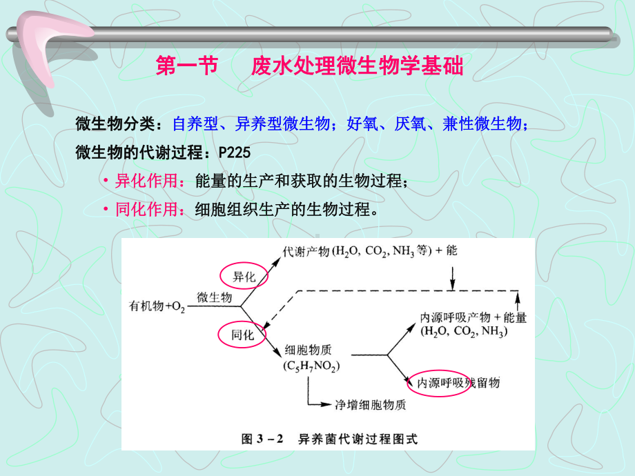 《环境工程学》第三章--水的生物化学处理方法-1课件.ppt_第3页