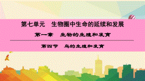 八年级生物下册第七单元第一章第四节鸟的生殖和发育课件新版新人教版7.ppt