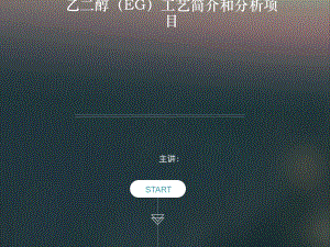 EG工艺简介和分析项目解析课件.ppt