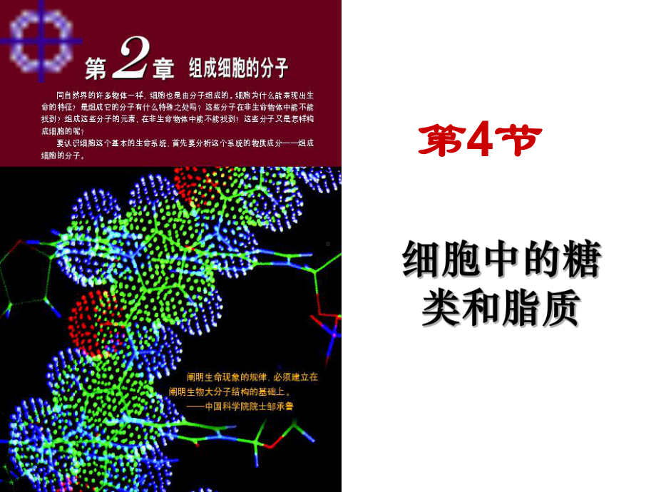 多糖糖类是主要的能源物质4实例课件.ppt_第1页