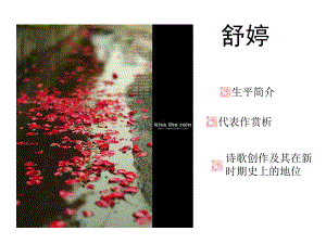 当代文专讲：舒婷课件.ppt