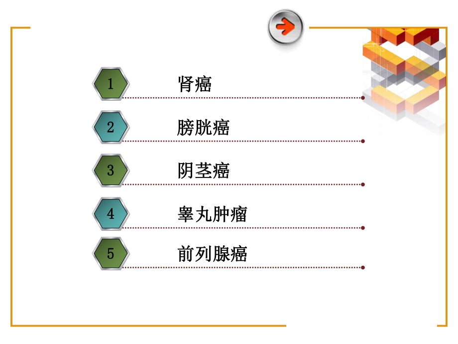 泌尿、生殖系统肿瘤课件.ppt_第2页