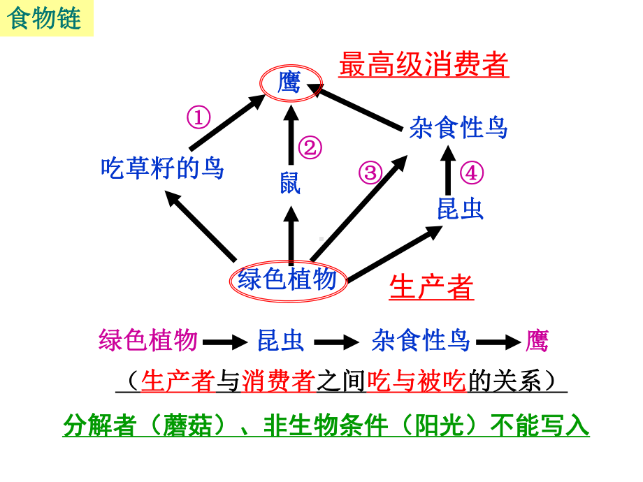 青蛙蟾蜍大鲵课件.ppt_第2页