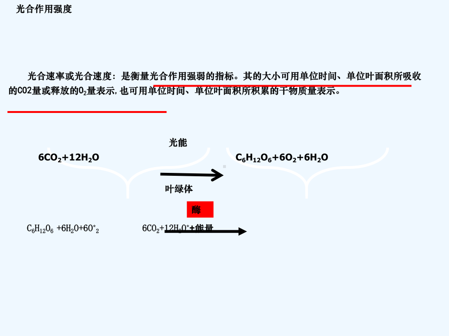 影响光合作用因素实用课件.ppt_第2页