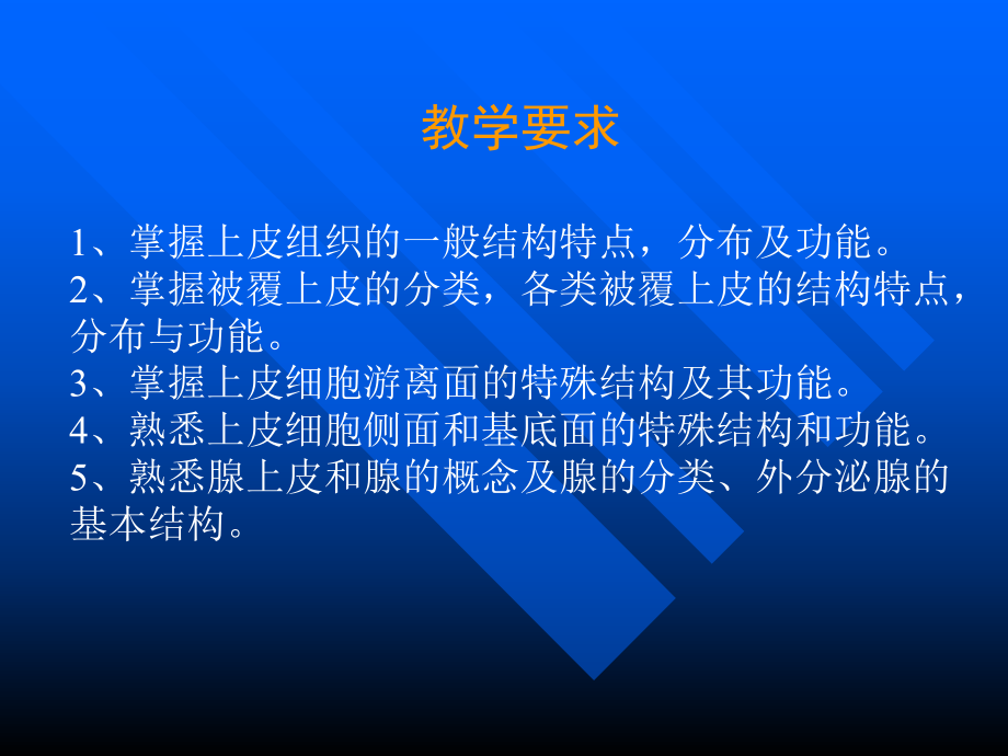 《医学上皮组织》课件.ppt_第2页