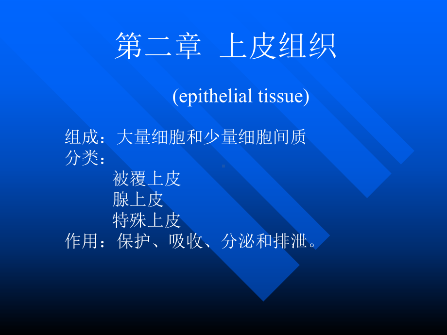 《医学上皮组织》课件.ppt_第3页