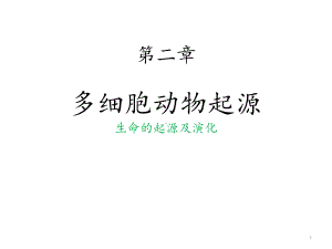 多细胞动物起源-课件.ppt