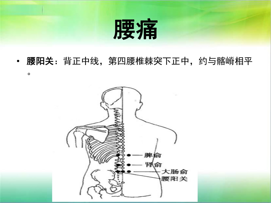 针灸治疗图谱课件.ppt_第2页