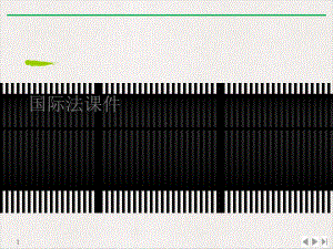 国际法标准课件.ppt