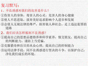 32-预防违法犯罪从杜绝不良行为做起课件.ppt