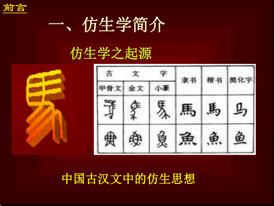 132仿生学-大自然的赏赐课件.ppt_第2页