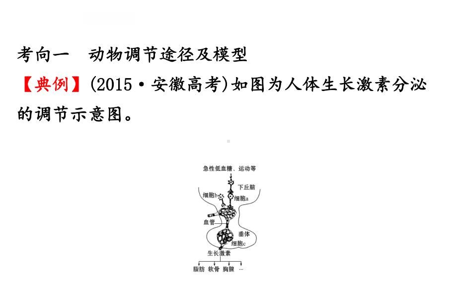 动物生命活动调节模型及相关试验课件.ppt_第2页