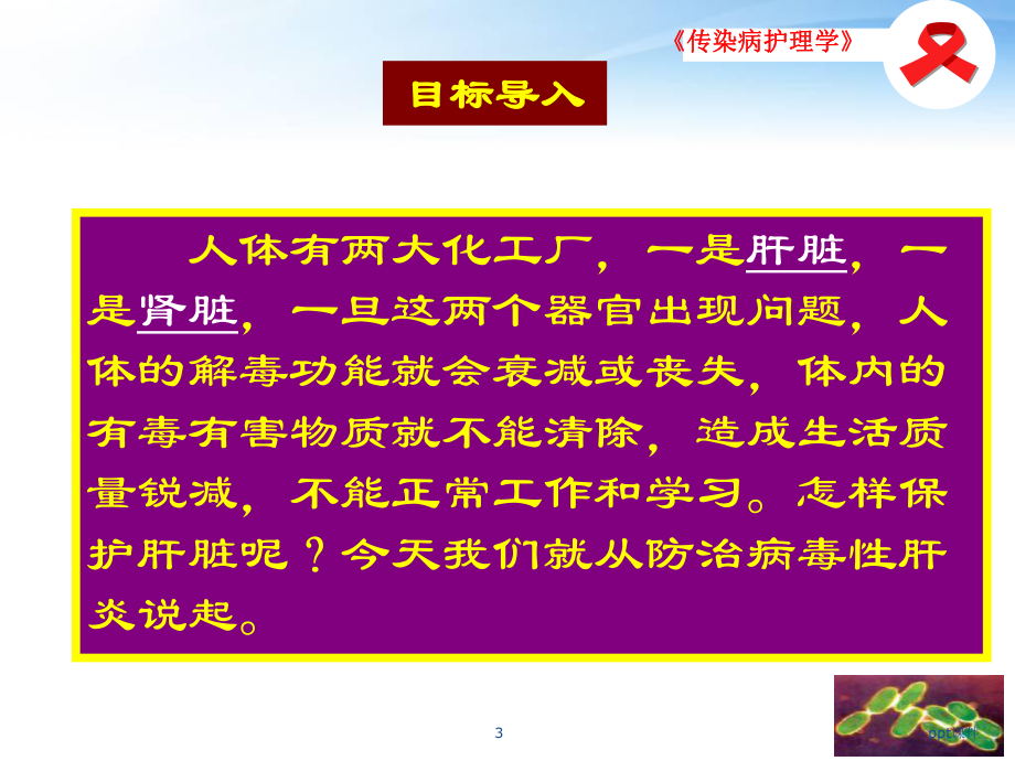 《传染病护理学》病毒性肝炎病人的护理-课件.ppt_第3页