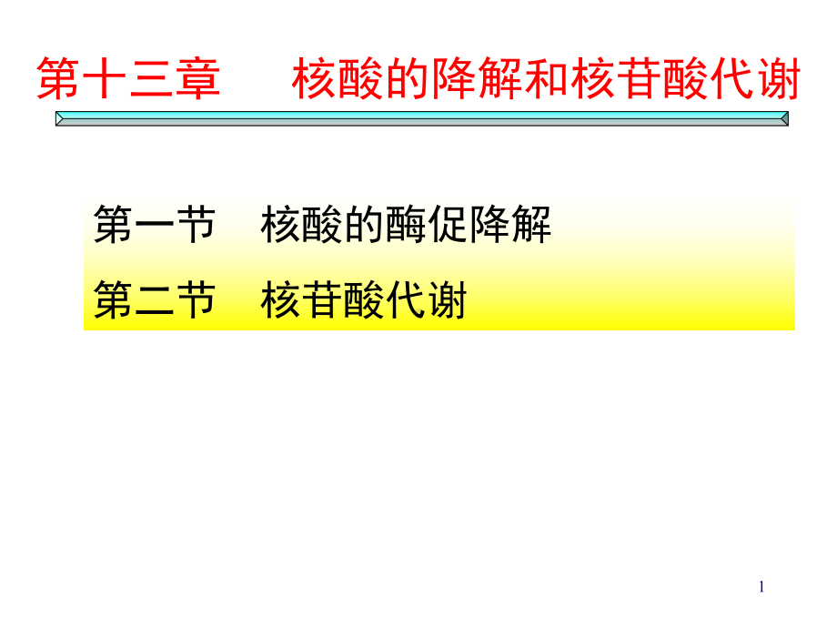 核酸的降解与核苷酸代谢课件.ppt_第1页